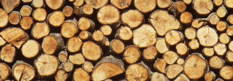 madera-biomasa