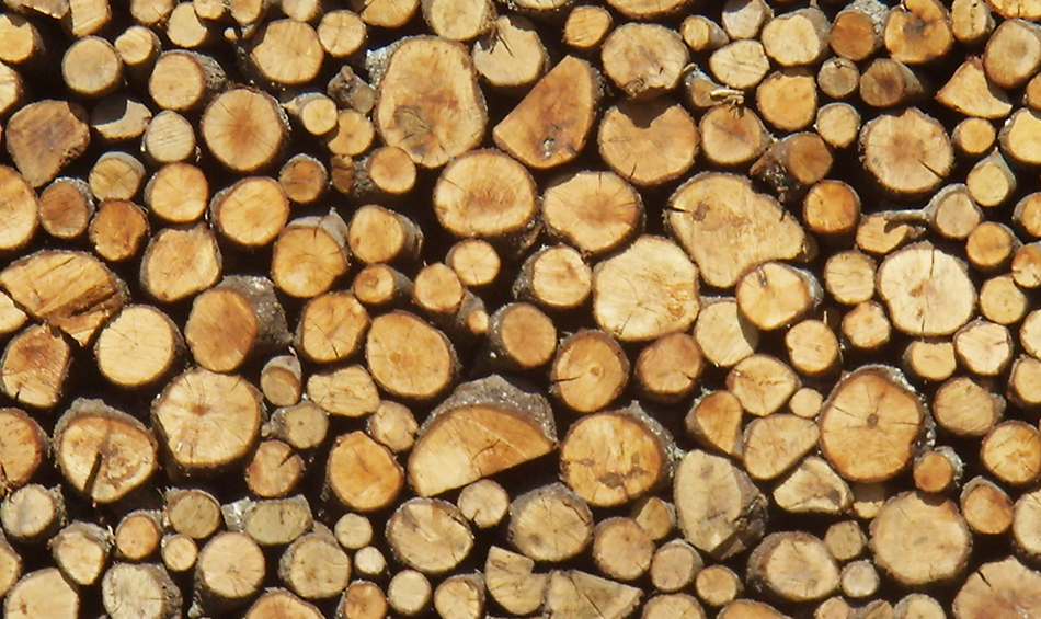 madera-biomasa
