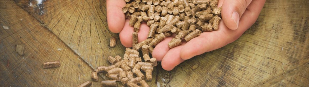 pellets españa 2025